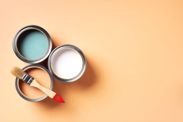Home Painting Supplies 
